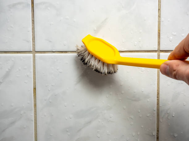 Best White Mold Remediation in Garden Ridge, TX