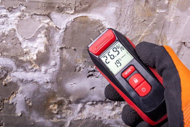 Best Post-Flood Mold Remediation in Garden Ridge, TX
